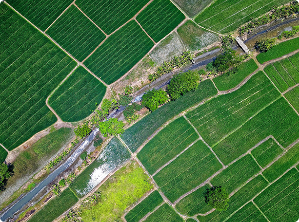 Toggle Map View